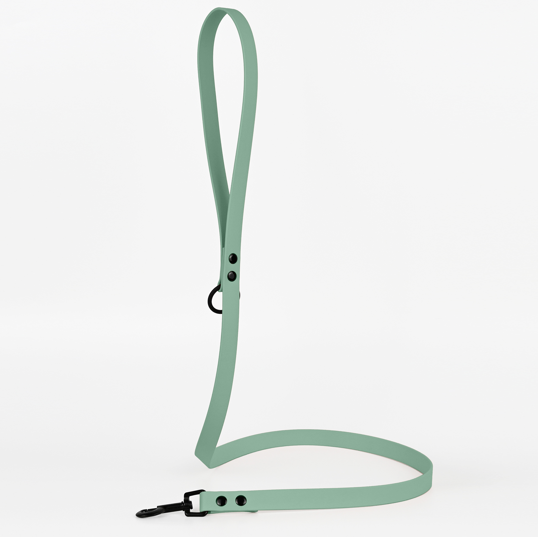 THE DOG IDEA Hundeleinen THE DOG IDEA Cityleine Biothane Sage