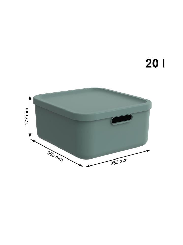 Rotho Albula Light 2er-Set Aufbewahrungskiste 20l in Mistletoe green günstig kaufen onesize
