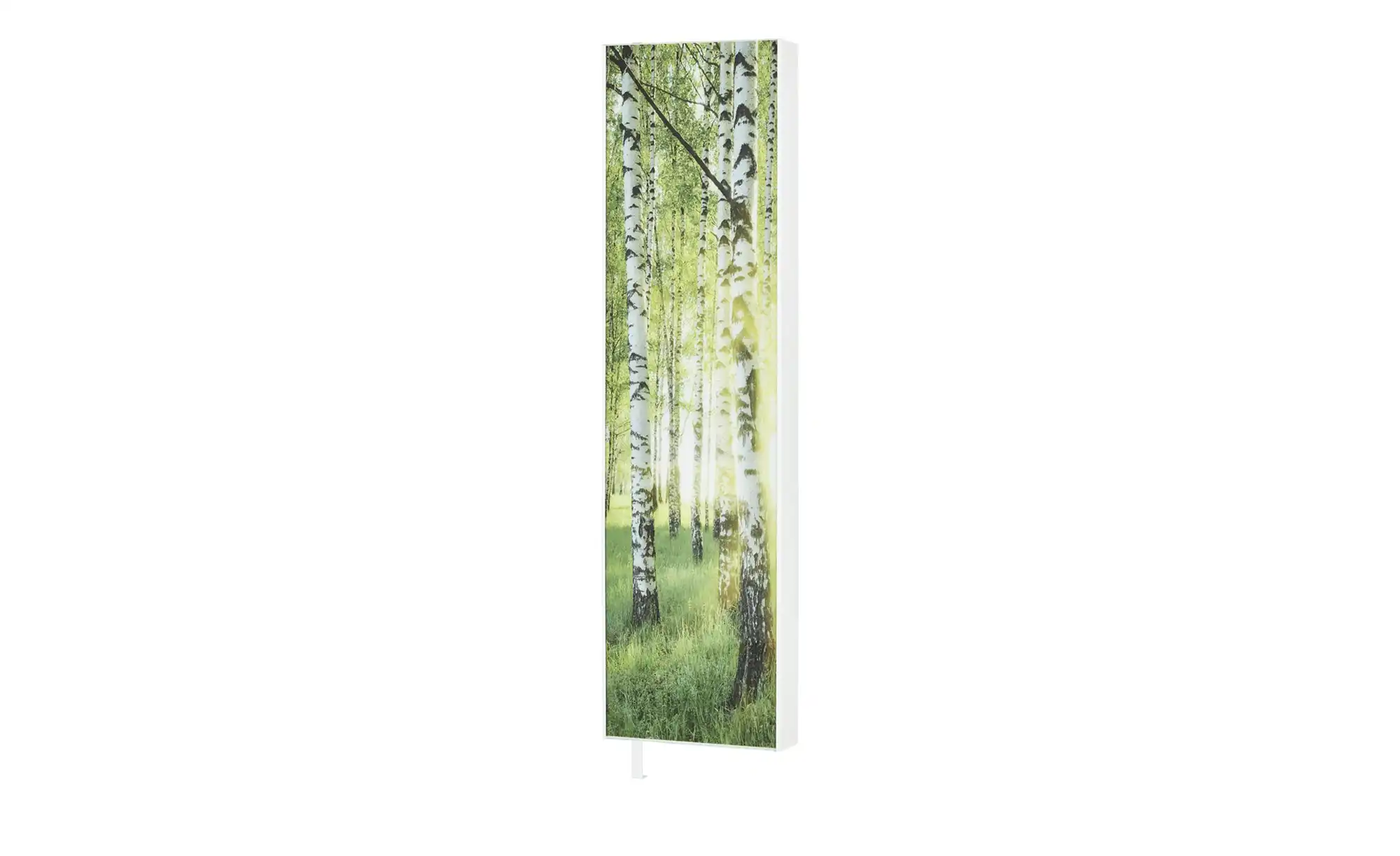 Mehrzweckschrank