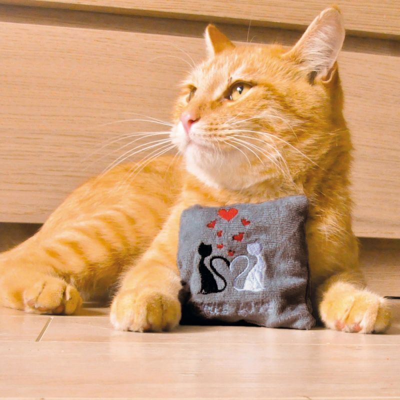 Aumüller Baldrian & Catnipspielzeug Aumüller Schmusekissen True Love M