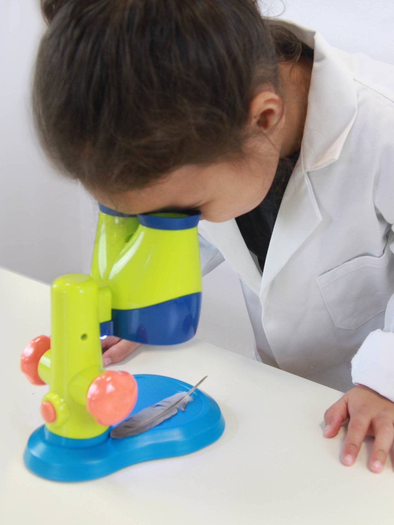 Mini Sciences
