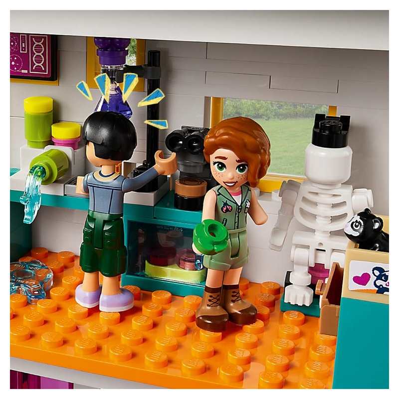 41731 L'école internationale de Heartlake City LEGO Friends