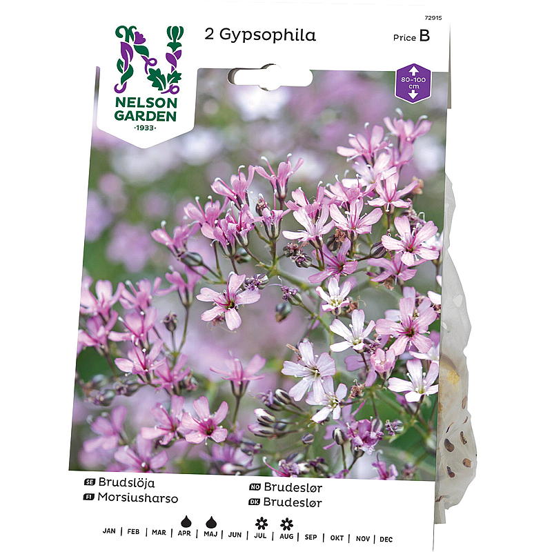 Nelson garden Brudeslør Gypsophila panicul. rosa