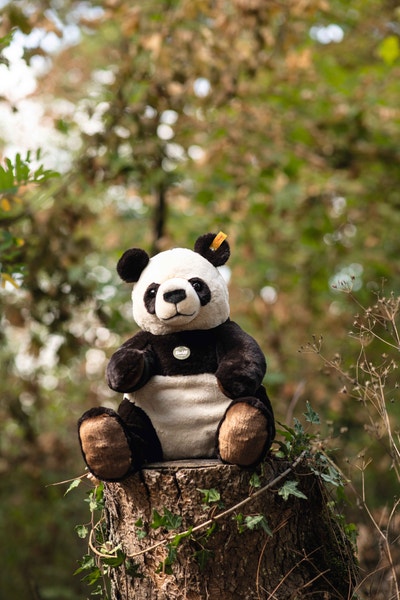 Pandi Großer Panda, 40 cm, mehrfarbig