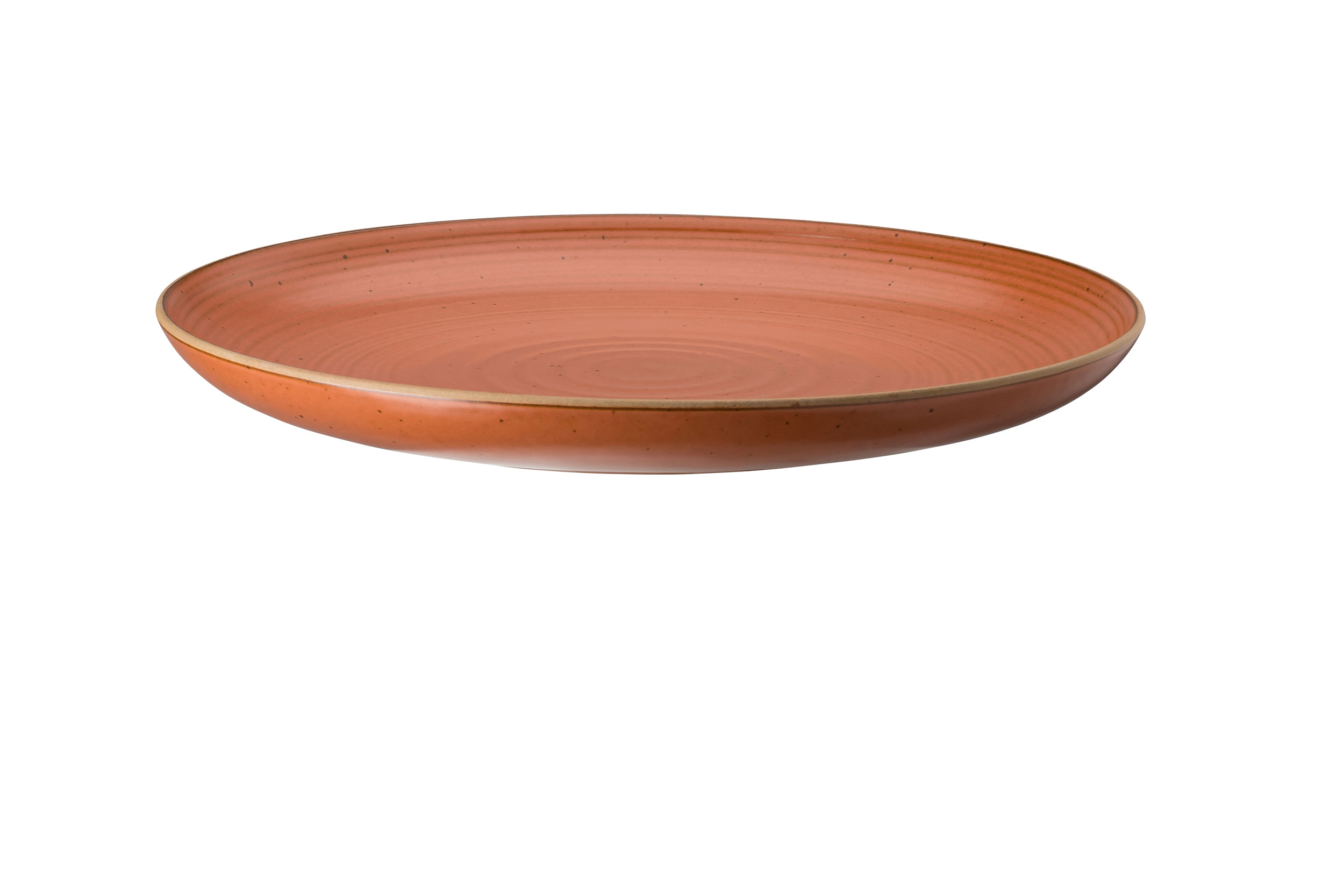 RosenthalSpeiseteller 27cm