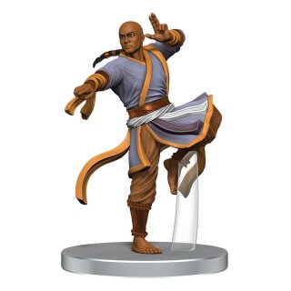Pathfinder Battles Miniatures: Fists of the Ruby Phoenix - Contenders and Champions (pre-painted)