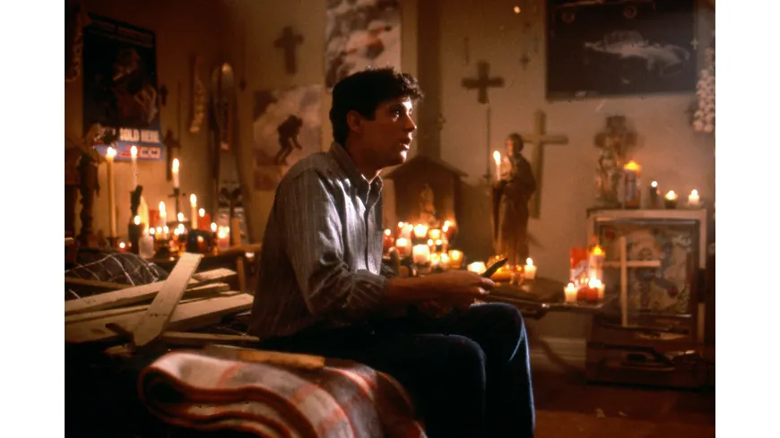 Die rabenschwarze Nacht - Fright Night