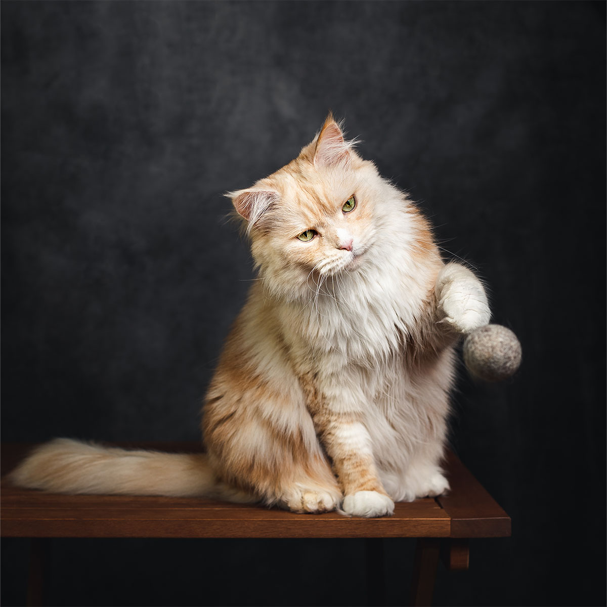 CATLABS Katzenspielzeug Flinke Filzbälle 2er-Pack