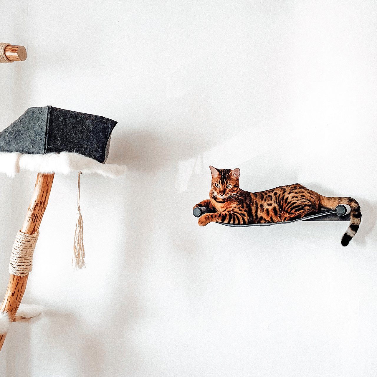 Canadian Cat Company Katzenbetten & Katzensofas Canadian Cat Company Filz-Hängematte für die Wand