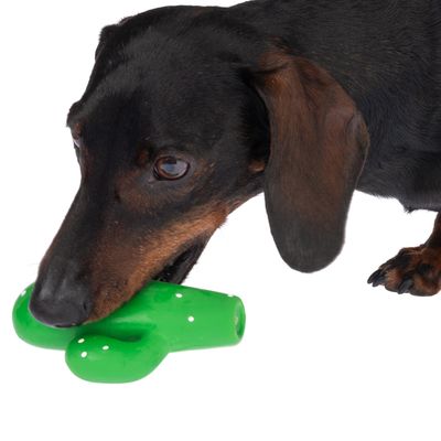TIAKI Hundespielzeug Latex Kaktus