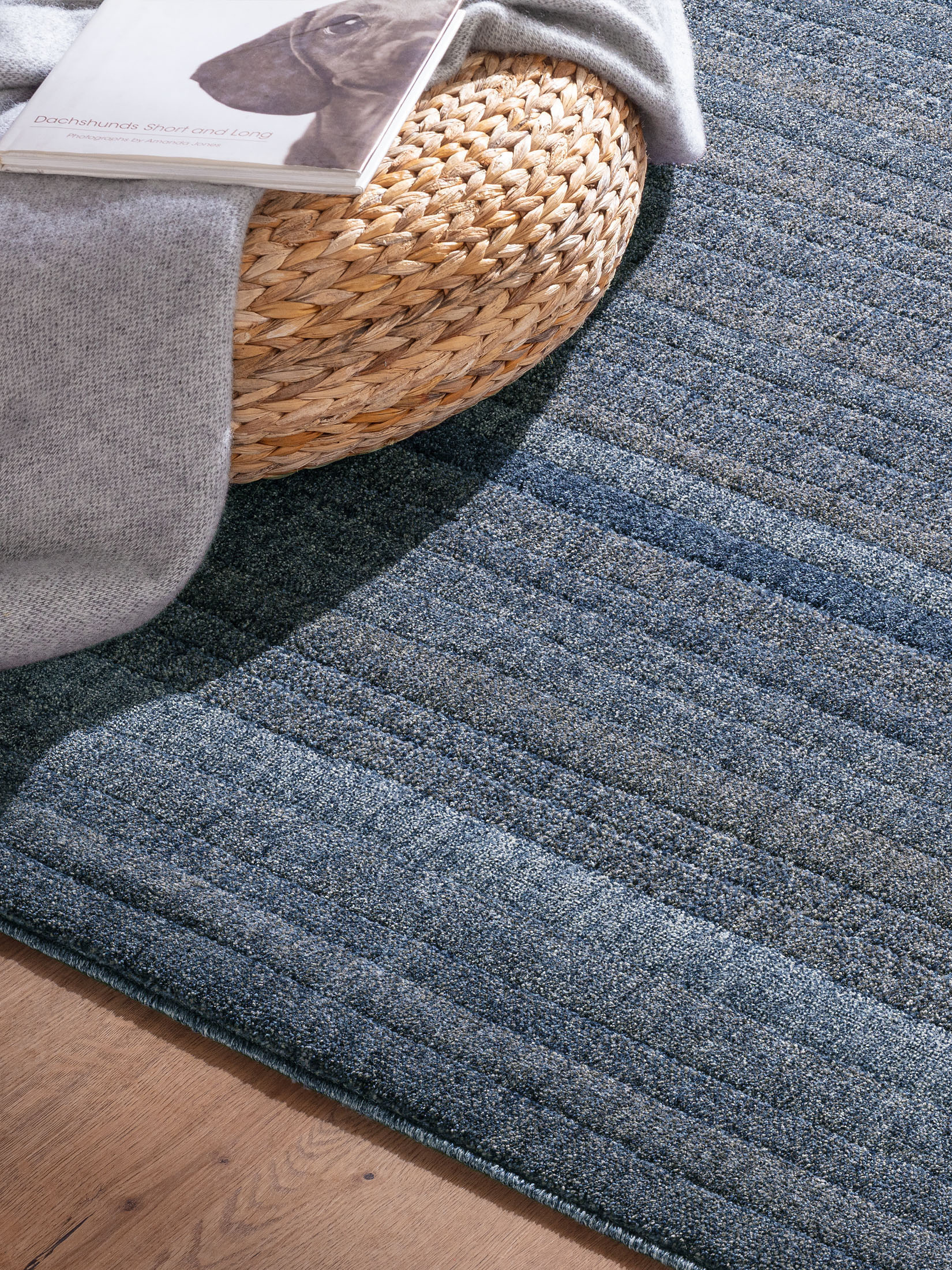 Hillsboro Moderner Teppich, Blau