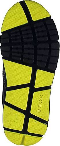 Geox Sneaker