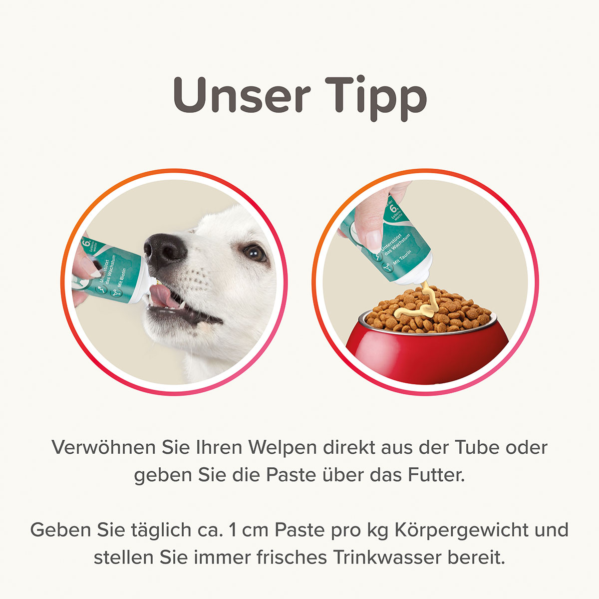 beaphar Junior-Paste für Hunde 100g günstig kaufen bei ZooRoyal