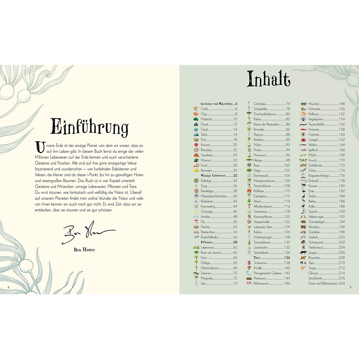 Wundervolle Welt der Natur