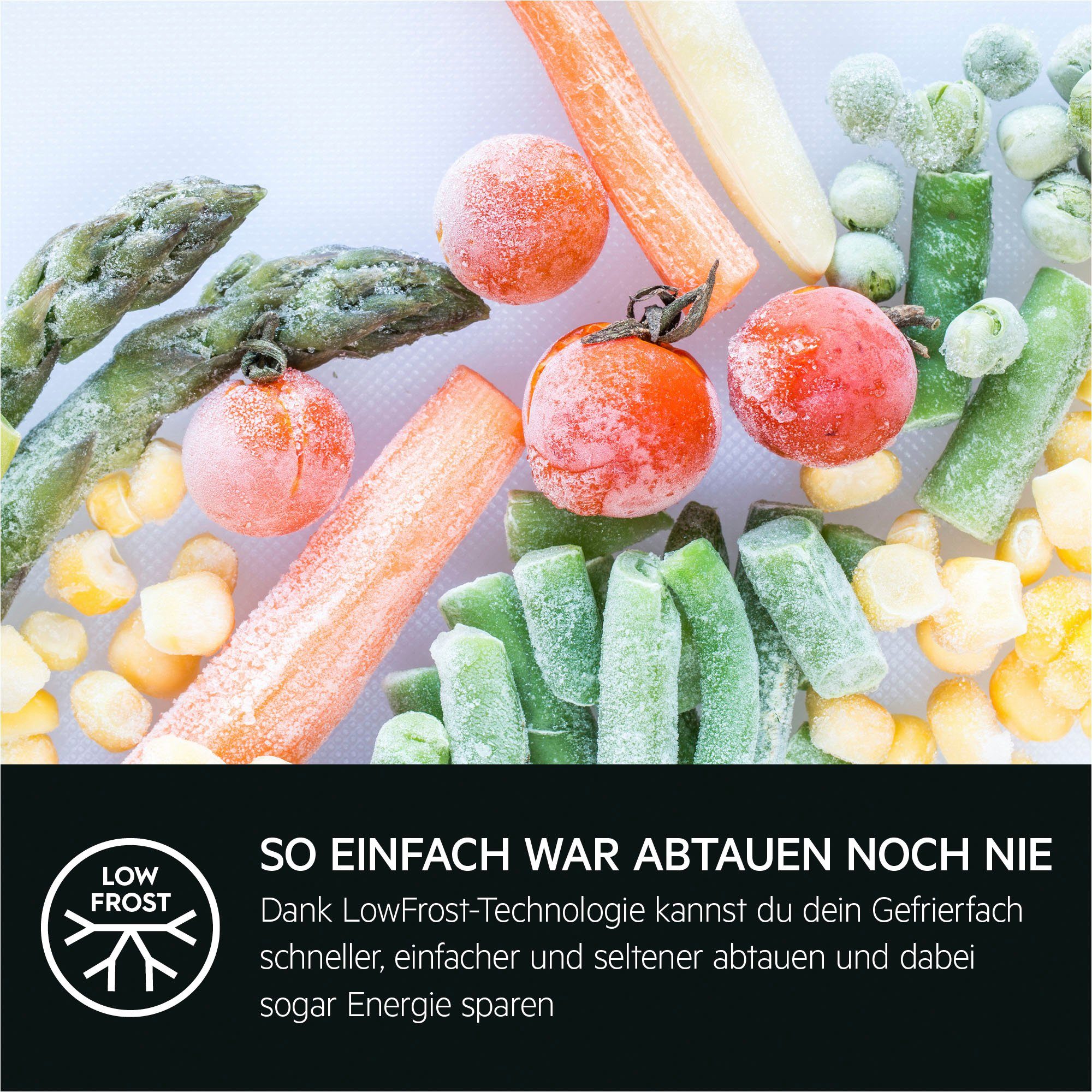 AEG Einbaukühlgefrierkombination Serie 5000 TSC5S181EF 925524006, 176,9 cm hoch, 55,6 cm breit