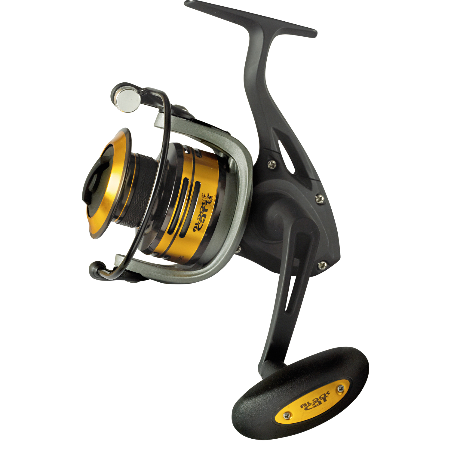 Black Cat Angelrolle Passion Pro FD