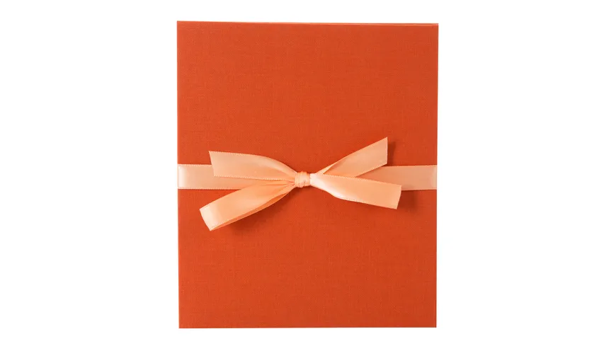 goldbuch Leporello Bella Vista golden orange für 10 Fotos