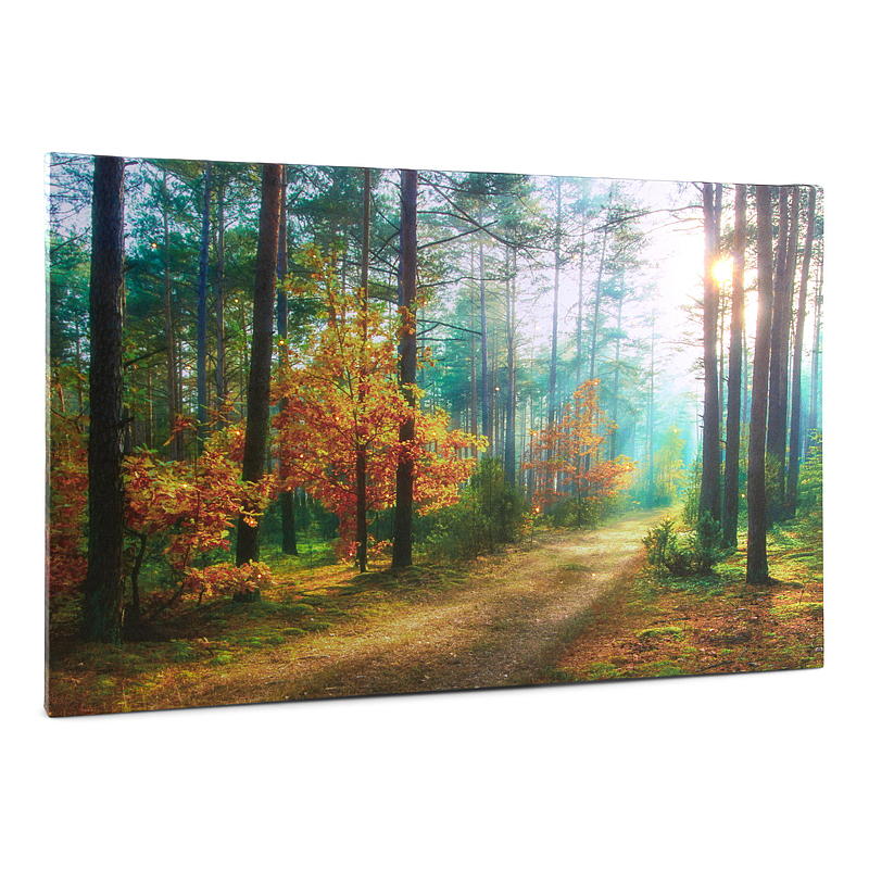 Home Canvasbilde 38x58 cm LED/fiberoptik Autumn