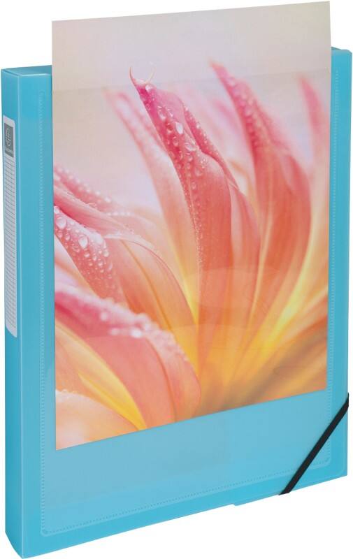 Exacompta Kreacover Pastel Archivbox 59279E DIN A4 PP (Polypropylen) Gummiband 25 (B) x 4 (T) x 33 (H) cm Farbig sortiert 40 mm 5 Stück