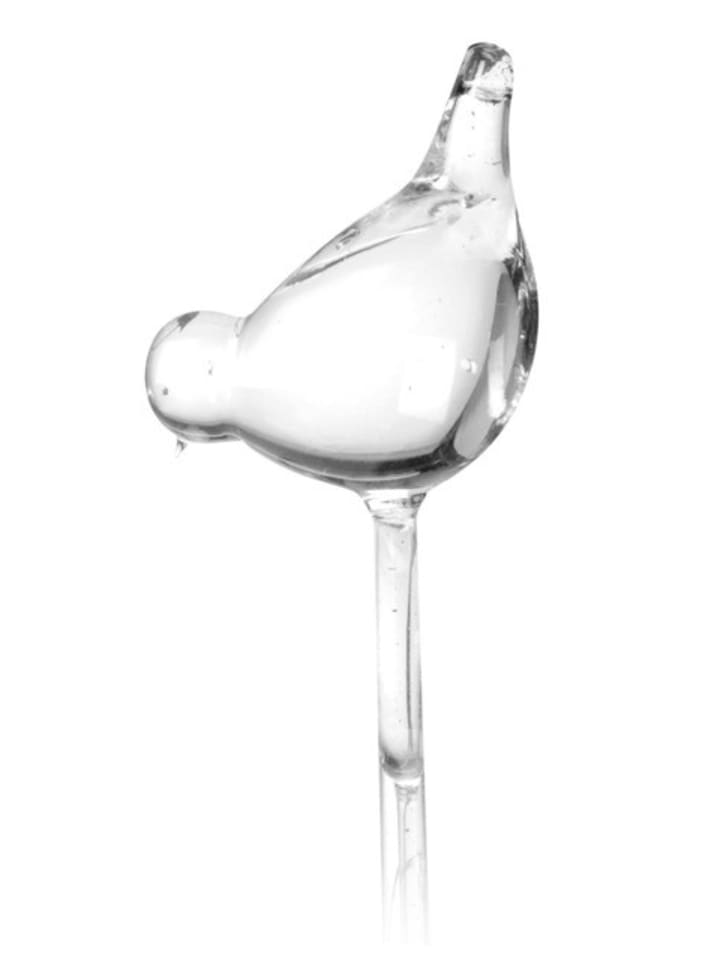 Excellent Houseware Bewässerungskugeln 2er-Set in transparent günstig kaufen onesize