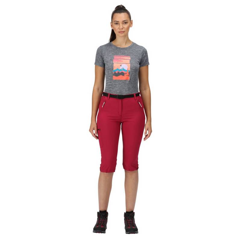 Regatta Xert Capri Wanderhose Damen