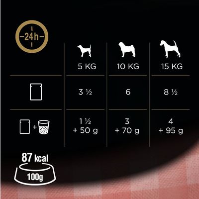 Cesar Feines im Frischebeutel Favoriten in Sauce 24 x 100 g
