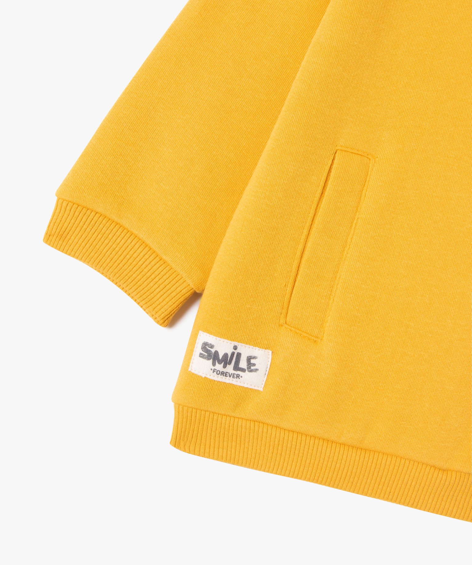 Sweat à capuche en molleton doux bébé Garçon jaune | GEMO