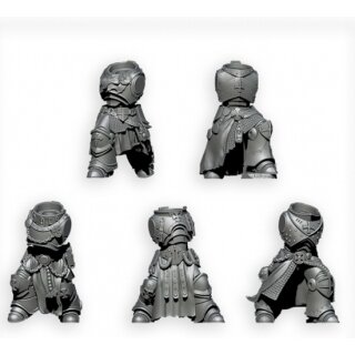Imperial Crusaders Prime Bodies (5)