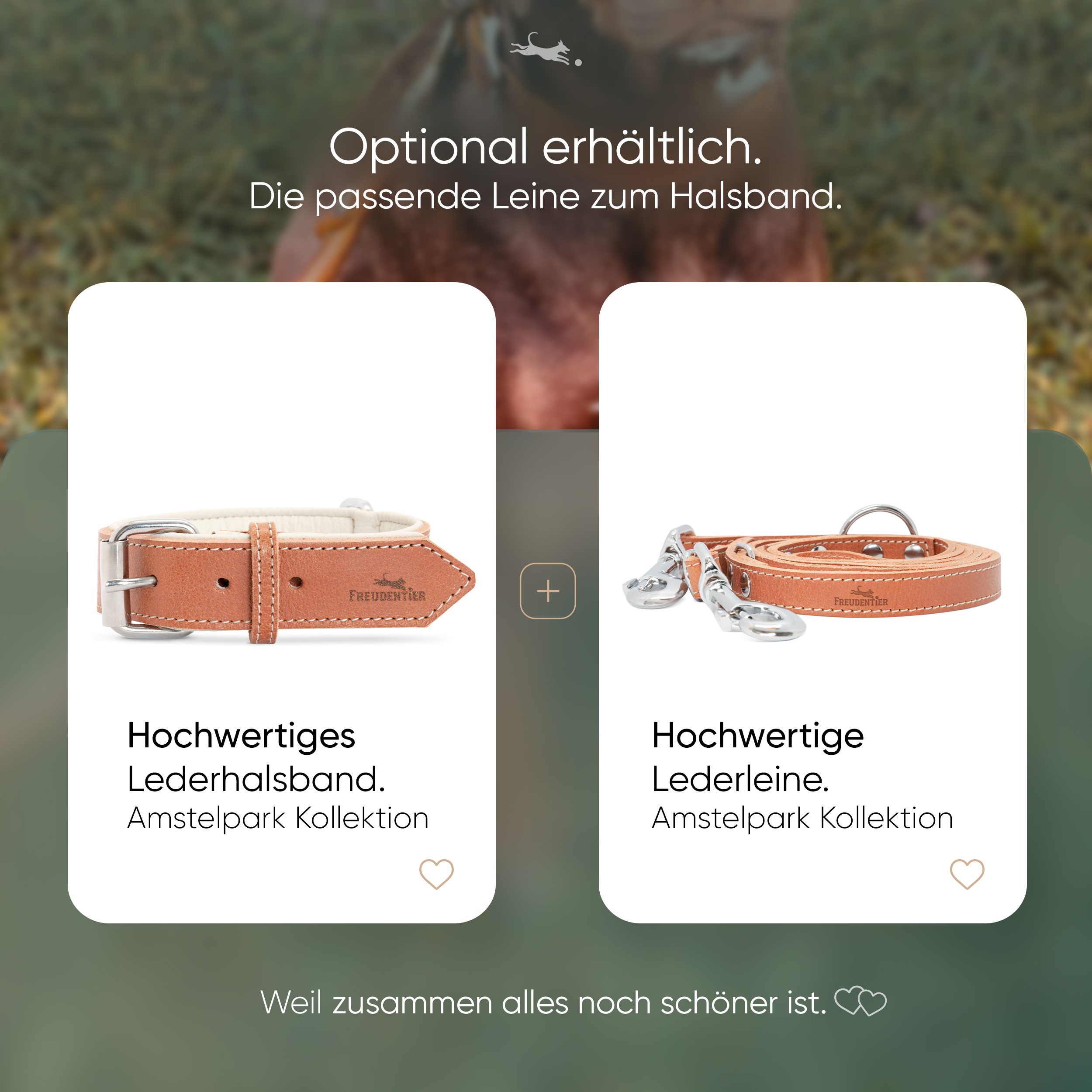 Freudentier Hundehalsbänder Freudentier gefüttertes Halsband aus Leder cognac XXL