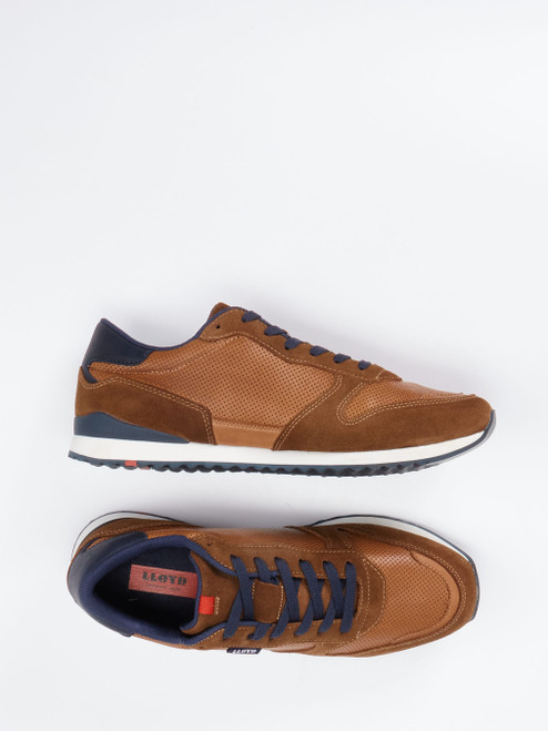 Sneaker-46612890279 Lloyd