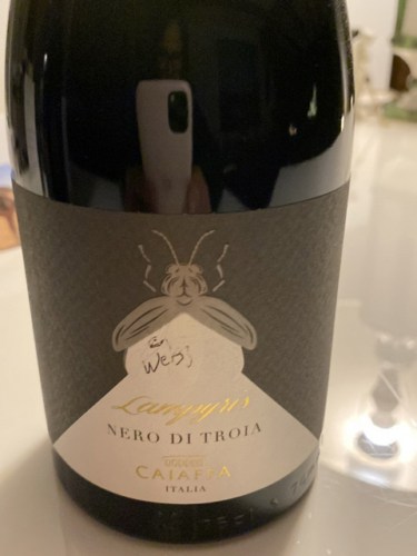 CaiaffaLampyris Nero di Troia 2017