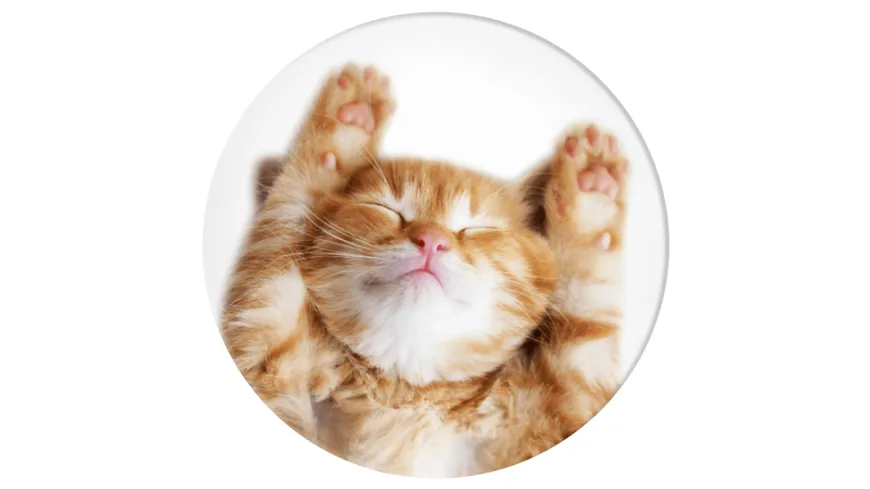 PopSockets Basic Snoozy Cat