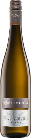 2022 Juventa Grauer Burgunder trocken - Divino eG