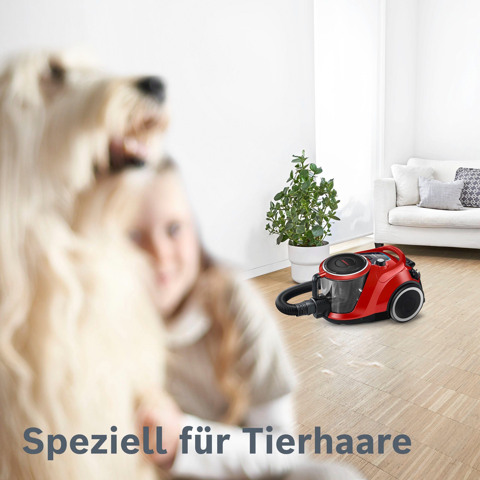 BOSCH Bodenstaubsauger BGC41PET, Ideal für Haustierbesitzer, 750 W, beutellos, inkl. umfangreichen Zubehör und AirTurbo Plus Düse