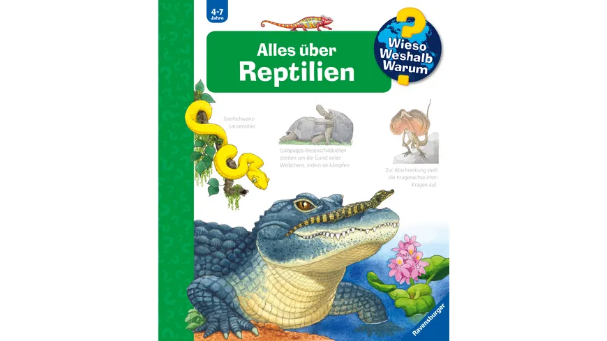 Wieso? Weshalb? Warum? (SW900), Band: 64  - Alles über Reptilien