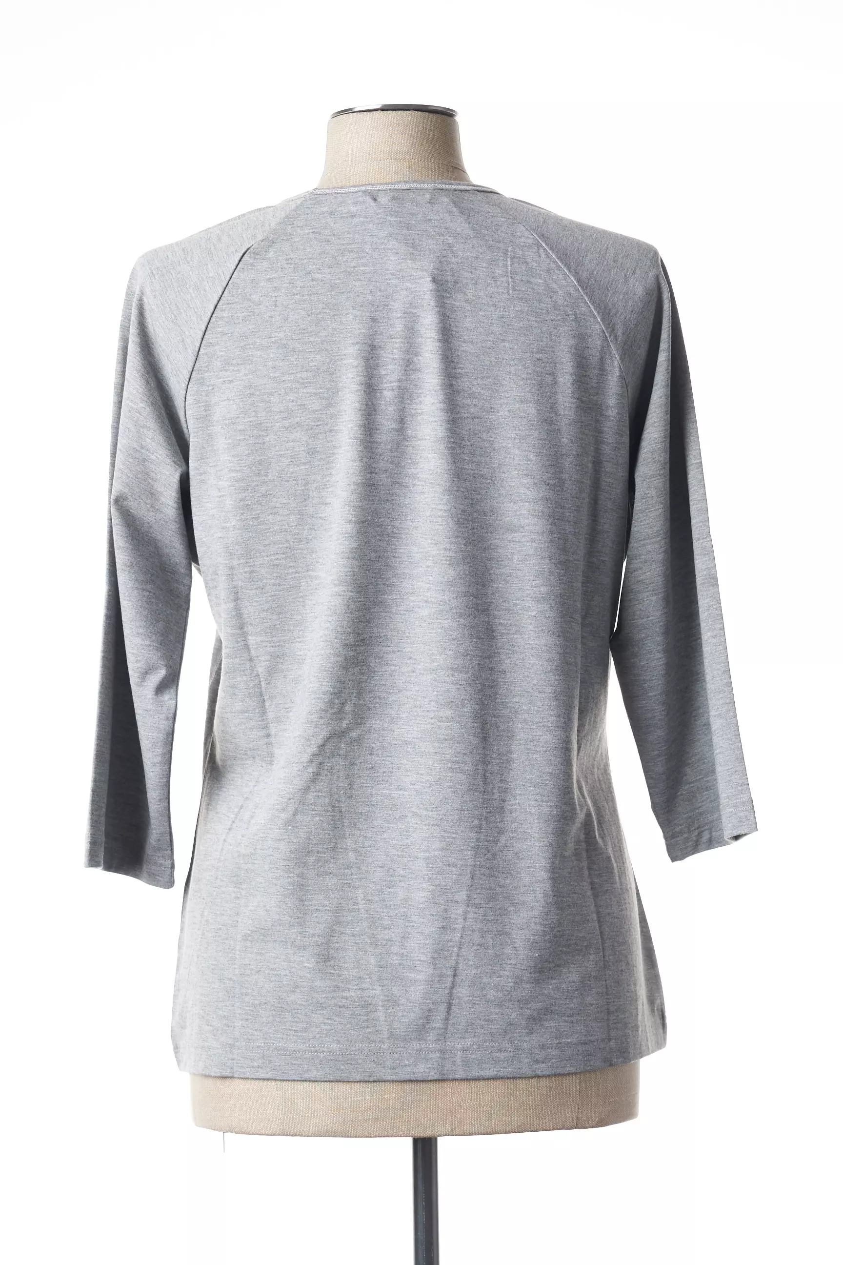 Griffon Tshirts Femme couleur gris