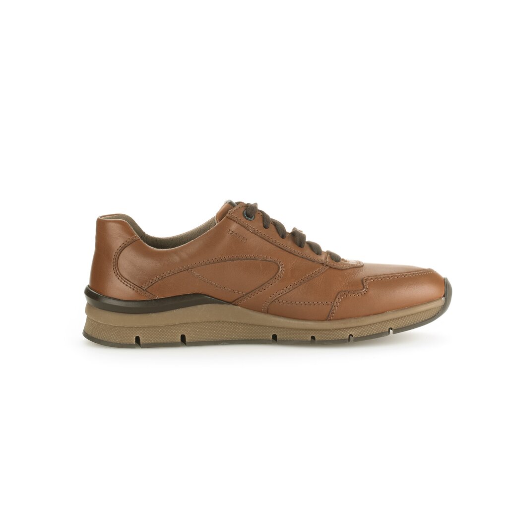 Pius Gabor PG1031 Sneaker low braun