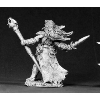 Dark Elf Sorcerer