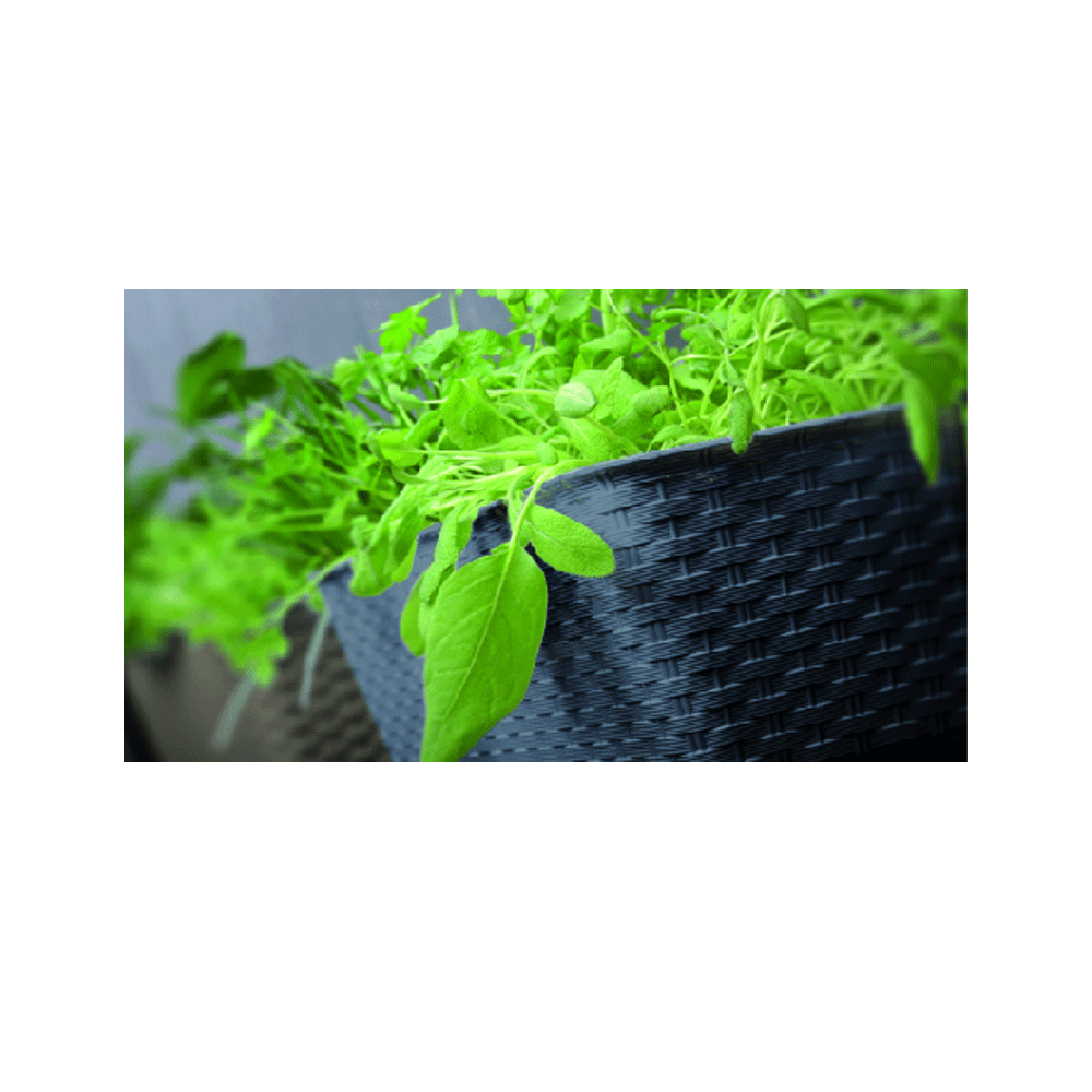 Protanic Pflanzkasten-Komplettset - Dunkelbraun, 2er Set