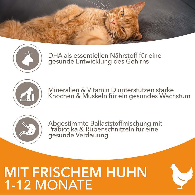 IAMS Advanced Nutrition Kitten mit Frischem Huhn