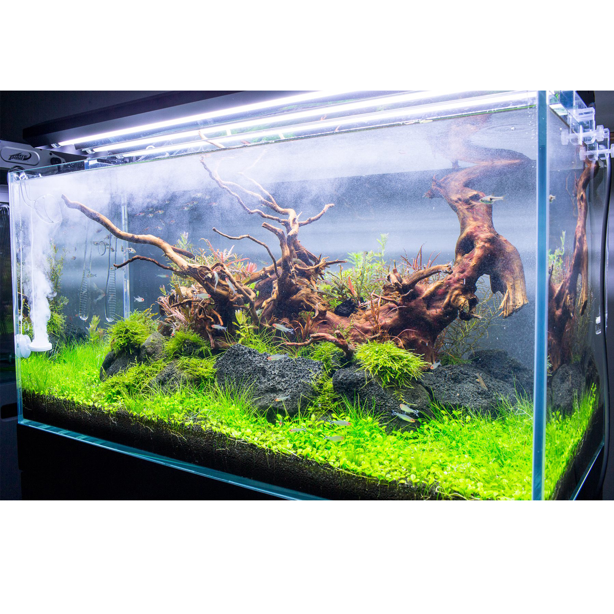 TWINSTAR 2 Aquarium-Sterilisator Nano günstig kaufen