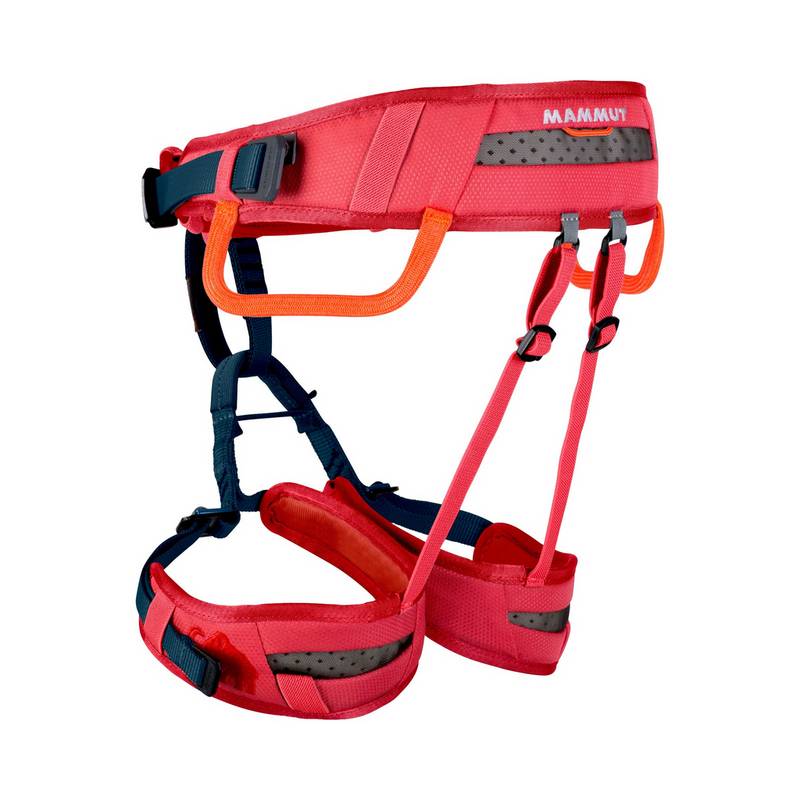 Mammut Ophir Klettergurt Kinder