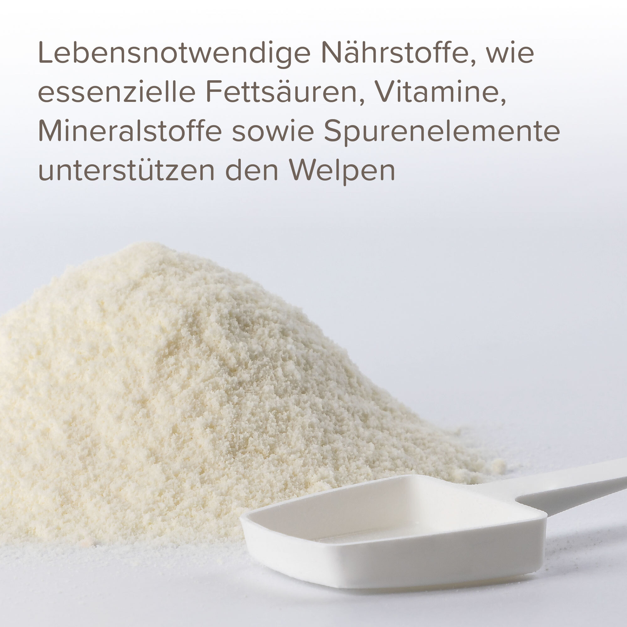 Beaphar Ergänzungsfutter & Aufzucht Beaphar Lactol Aufzucht-Milch 500 g