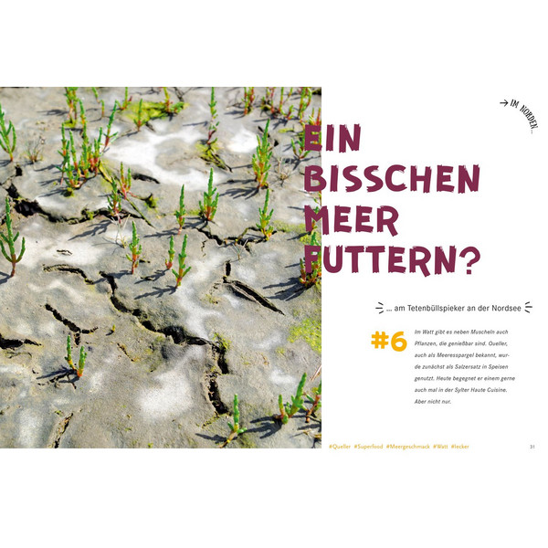 52 KLEINE &  GROßE ESKAPADEN IN DEUTSCHLAND - Reiseführer