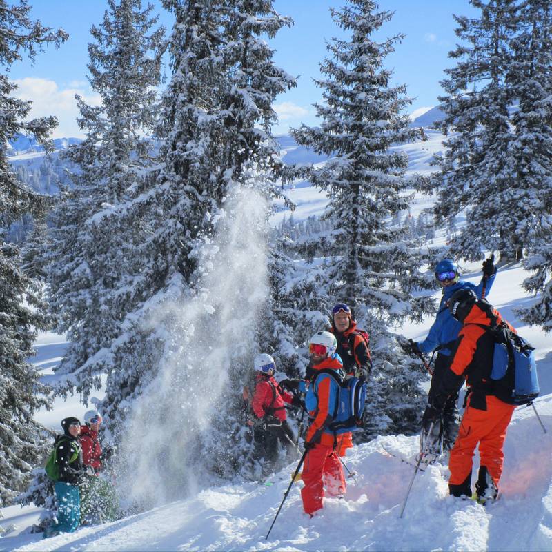 Erlebnis Tiefschneekurs für jedes Level Tour