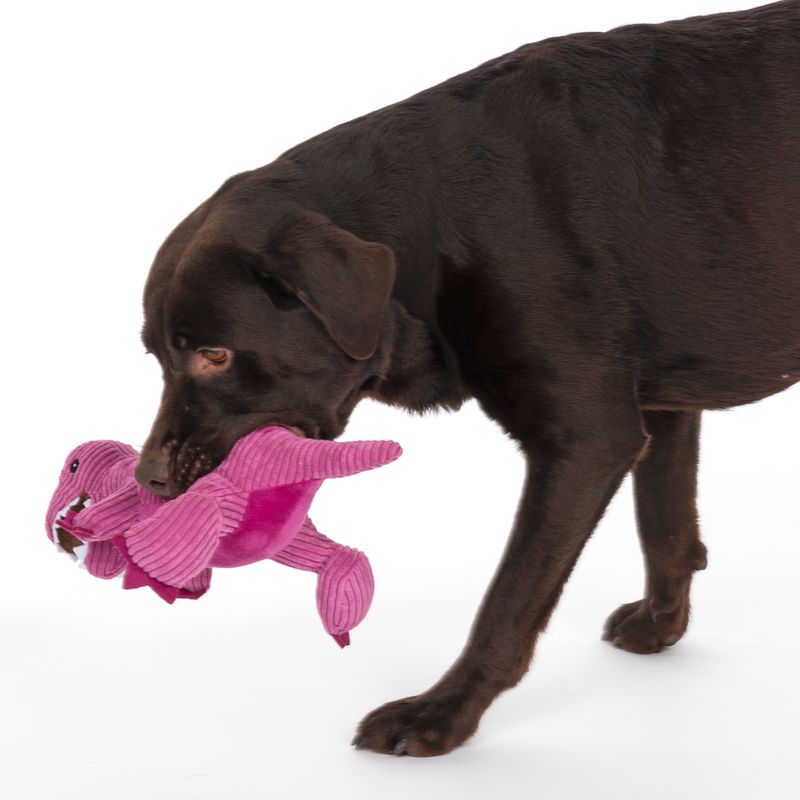 TIAKI Hundespielzeug T-Rex zu TOP-Preisen