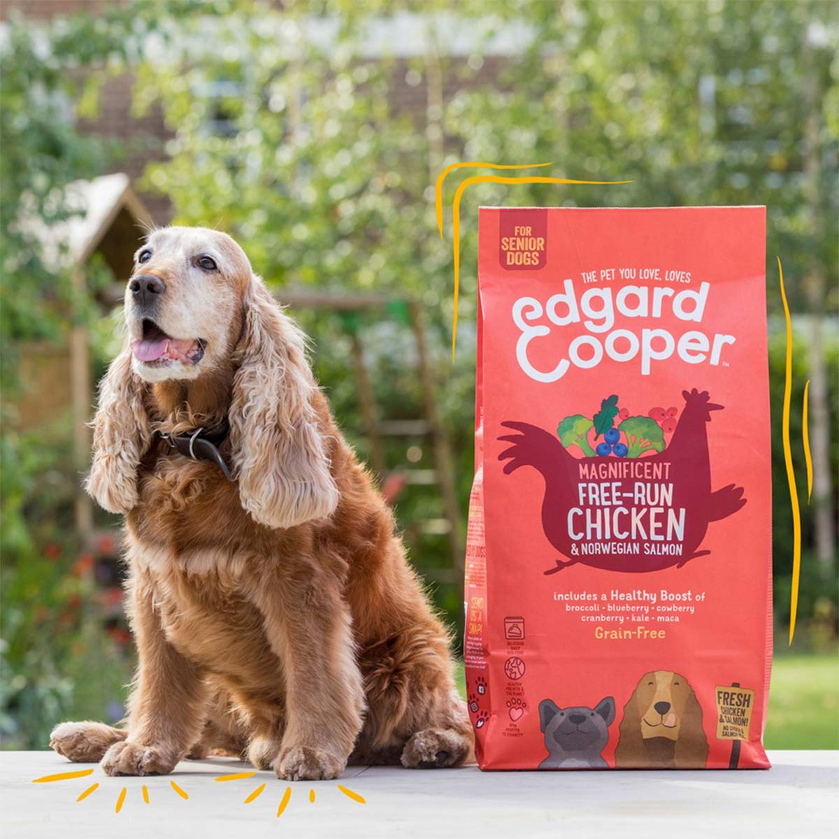 Edgard & Cooper Senior Frisches Huhn & Lachs kaufen bei ZooRoyal