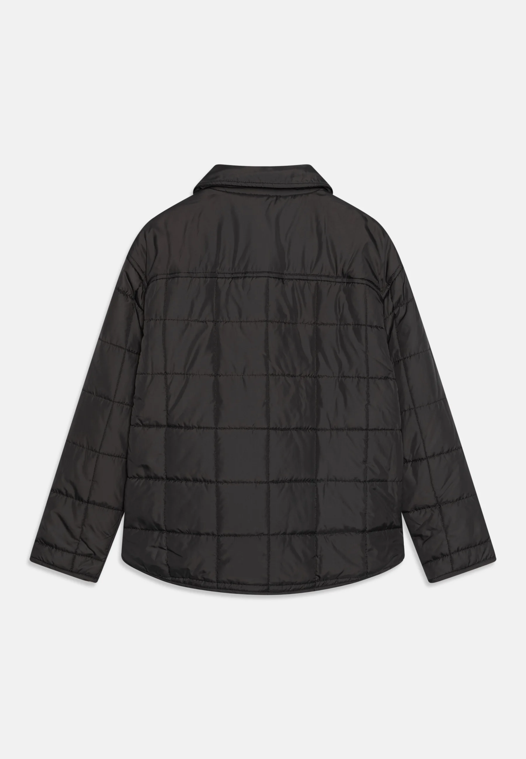Calvin Klein Jeans BADGE - Chaqueta de entretiempo