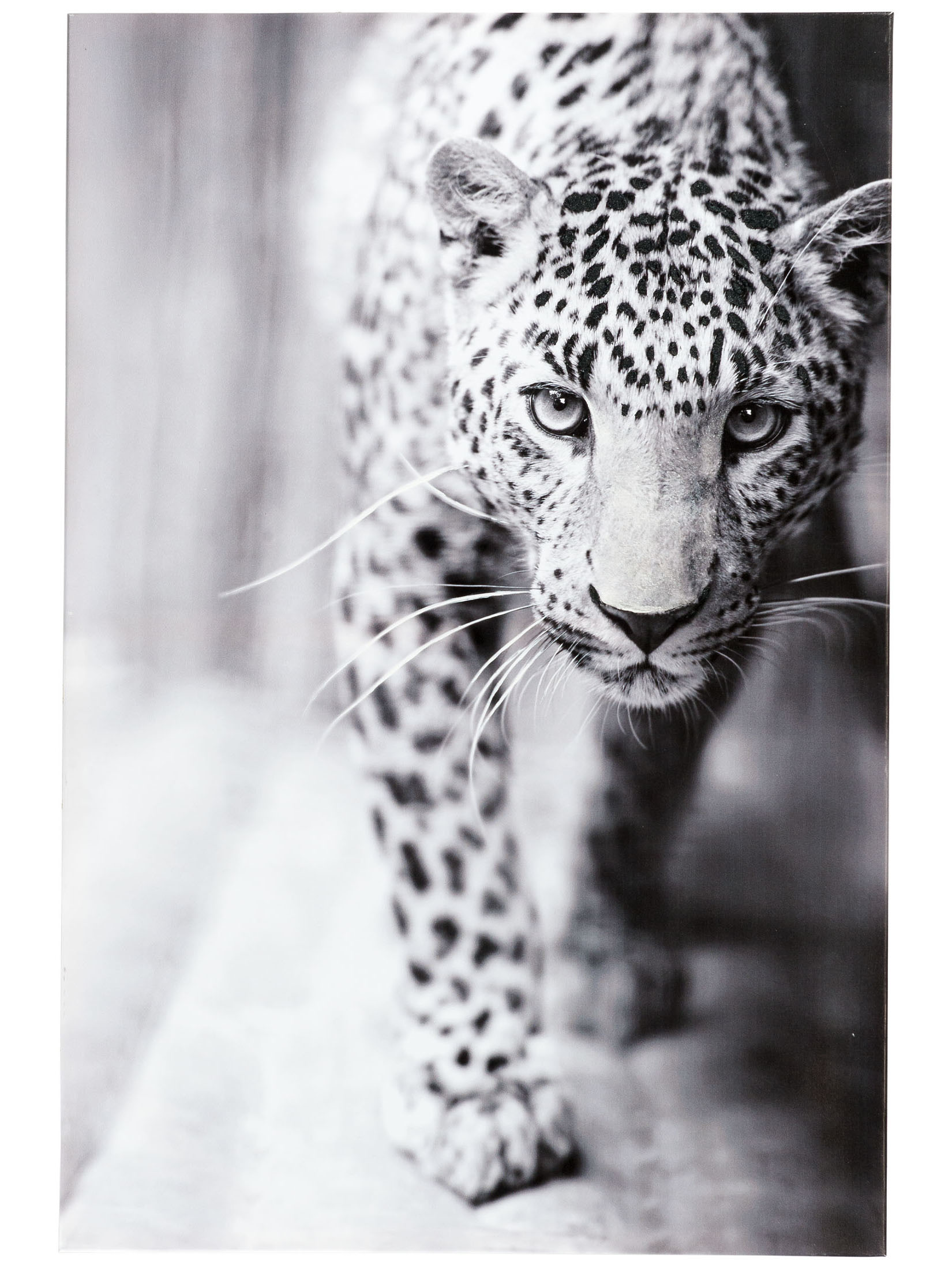 Leopard Watch Leinwand-Druck-handbemalt, Grau