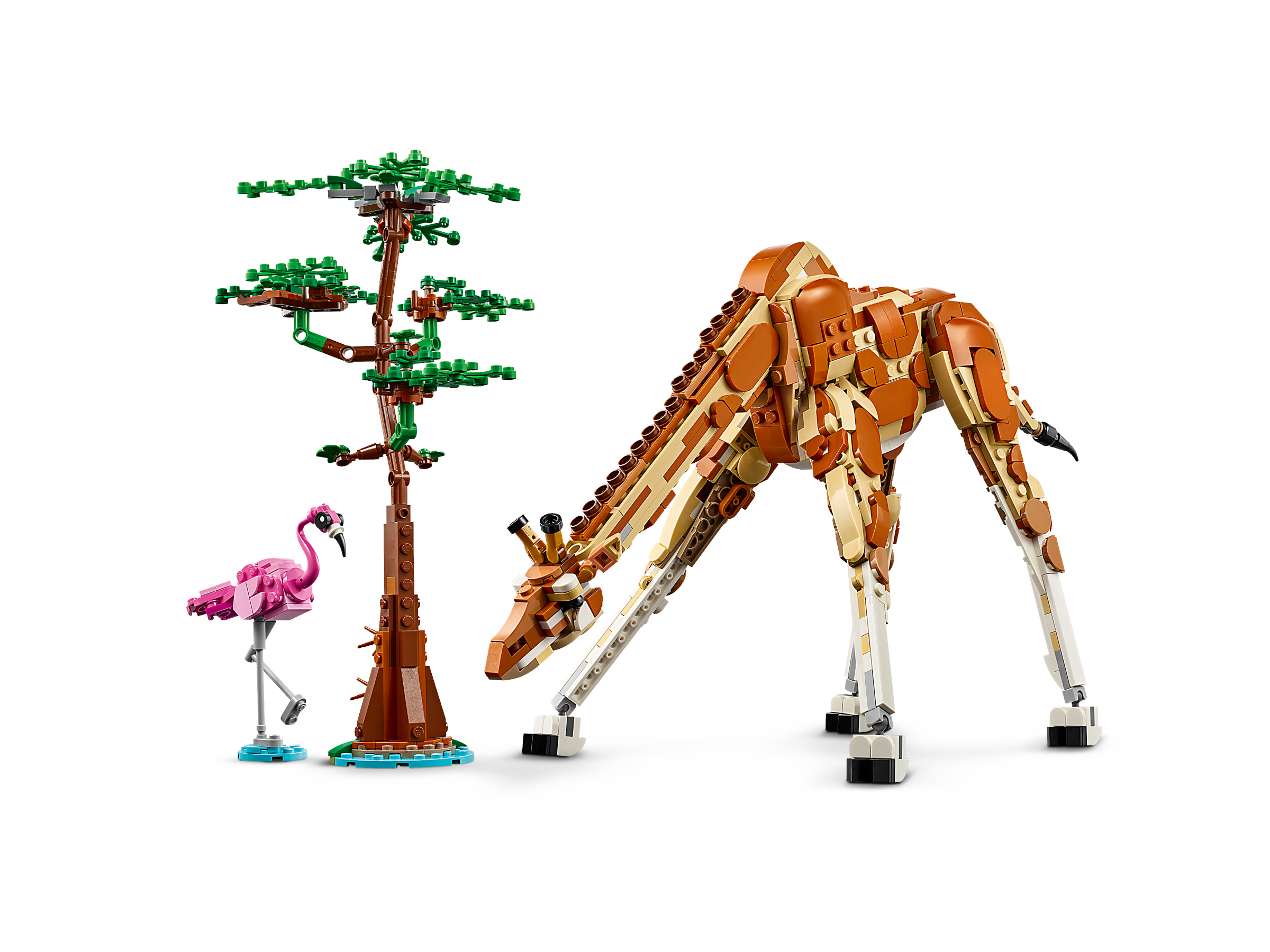Tiersafari 31150